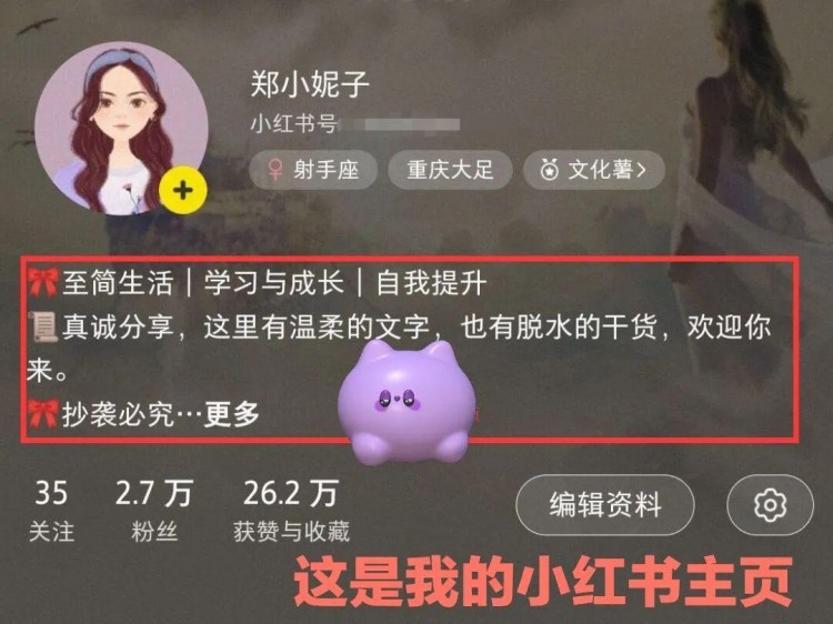 写小红书一年我收到了出书邀请